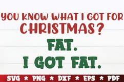 You Know What i Got for Christmas SVG, Christmas SVG Product Image 1