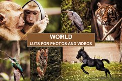 CINEMATIC Cocoa Film LUTS PACK for Videos / Moody / Travel Product Image 1