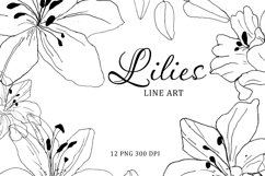 Hand drawn lilies line art, lilies clipart, flower line art Product Image 1