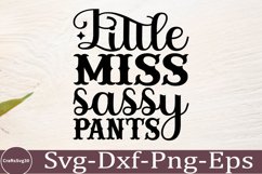 Sassy SVG Bundle Sarcastic SVG, Design, Funny Quotes Product Image 4