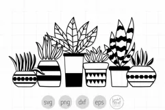 Potted Plants Svg, Hand Drawn Plants Png Clipart Product Image 1