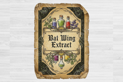 Goth Cottagecore PNG Bundle, Dark Academia Aesthetic, Witchy Product Image 2