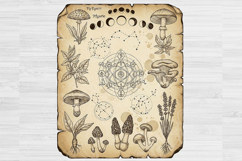 Goth Cottagecore PNG Bundle, Dark Academia Aesthetic, Witchy Product Image 13