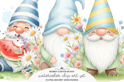 Whimsical Summer Gnome Clipart Product Image 1