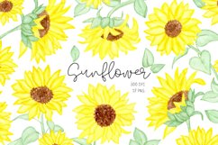 Watercolor sunflower clipart Product Image 1