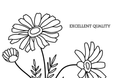 Birth flowers SVG bundle, 12 line art botanical Cricut file Product Image 2