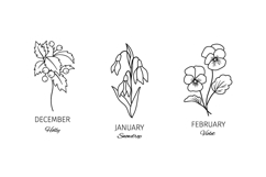 Birth flowers SVG bundle, 12 line art botanical Cricut file Product Image 4