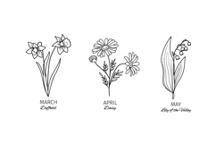 Birth flowers SVG bundle, 12 line art botanical Cricut file Product Image 5