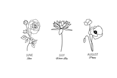 Birth flowers SVG bundle, 12 line art botanical Cricut file Product Image 6