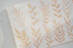 Neutral botanical watercolor clipart Product Image 4