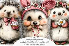 Whimsical Spring Hedgehog Clipart Product Image 1