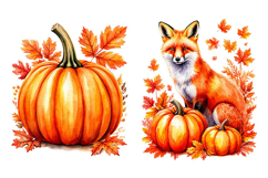 Fox with orange pumpkin and autumn leaves. PNG Product Image 2