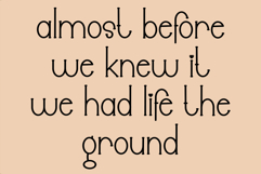 Designer Desember Product Image 6