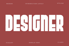 Designer Product Image 1