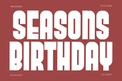 Designer Product Image 8