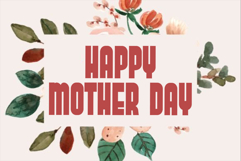 Designer Product Image 4