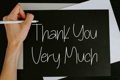 Dessert Cactus Product Image 8