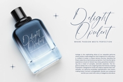 Destinate Historial - Stylish Signature Font Product Image 11