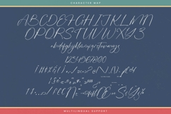 Destinate Historial - Stylish Signature Font Product Image 18