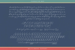 Destinate Historial - Stylish Signature Font Product Image 19