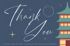 Destinate Historial - Stylish Signature Font Product Image 20