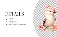 Romantic Floral Woodpecker PNG Product Image 2