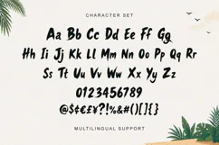 Detrios Literno Tropical Brush Display Font Product Image 6