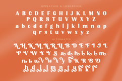 Devika Sunset - Display Serif Font Product Image 13