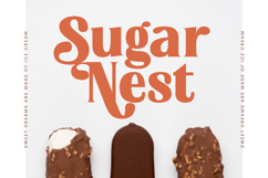 Devika Sunset - Display Serif Font Product Image 14