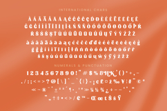 Devika Sunset - Display Serif Font Product Image 19