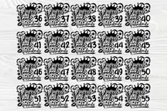 16th to 75th Birthday Girl SVG, Birthday Queen Svg Designs Product Image 4