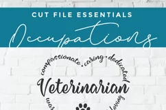 Veterinarian svg, vet svg with paw print - cute pawprint svg Product Image 2