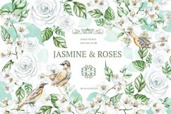 Watercolor Jasmine &amp; Roses Product Image 1