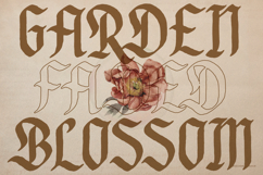 Dicaten | Blackletter Font Product Image 4