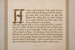 Dicaten | Blackletter Font Product Image 6