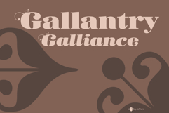 Donaire | Regular &amp; Italic | Ornaments Product Image 5