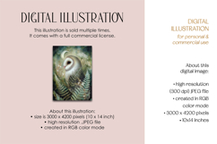Barn Owl in Ferns Illustration Product Image 3