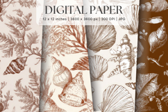 Chinoiserie Seashells Pattern Background Vintage Wallpaper Product Image 1