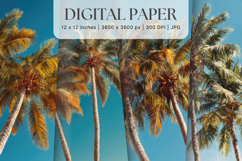 Palm Tree Background Sunset Sea Beach Landscape Coconut Tree Product Image 1