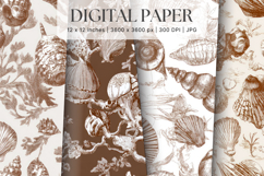 Chinoiserie Seashells Pattern Background Vintage Wallpaper Product Image 1