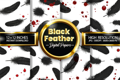 Black Feather Digital Papers - 04 Variations Product Image 1