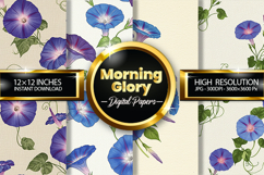 Morning Glory Digital Papers - 04 Variations Product Image 1