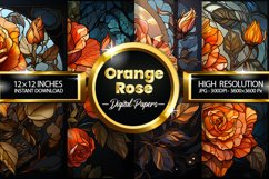 Orange Rose Digital Paper - 04 Variations Product Image 1