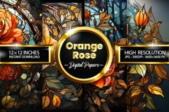 Orange Rose Digital Paper - 04 Variations Product Image 1