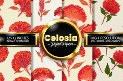 Celosia Flowers Digital Papers - 04 Variations Product Image 1