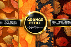 Orange Petal Glitter Digital Papers - 04 Variations Product Image 1