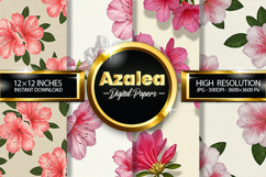 Azalea Flowers Digital Papers - 04 Variations Product Image 1