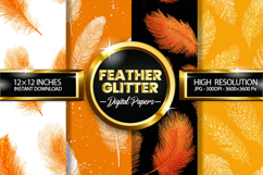 Feather Glitter Digital Papers - 04 Variations Product Image 1
