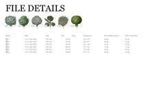 Artichoke Vintage Vegetable Botanical Clip Art Product Image 2