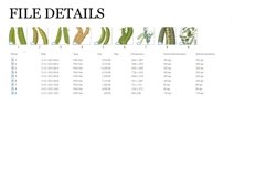 Peas Vintage Vegetable Botanical Clip Art Product Image 2